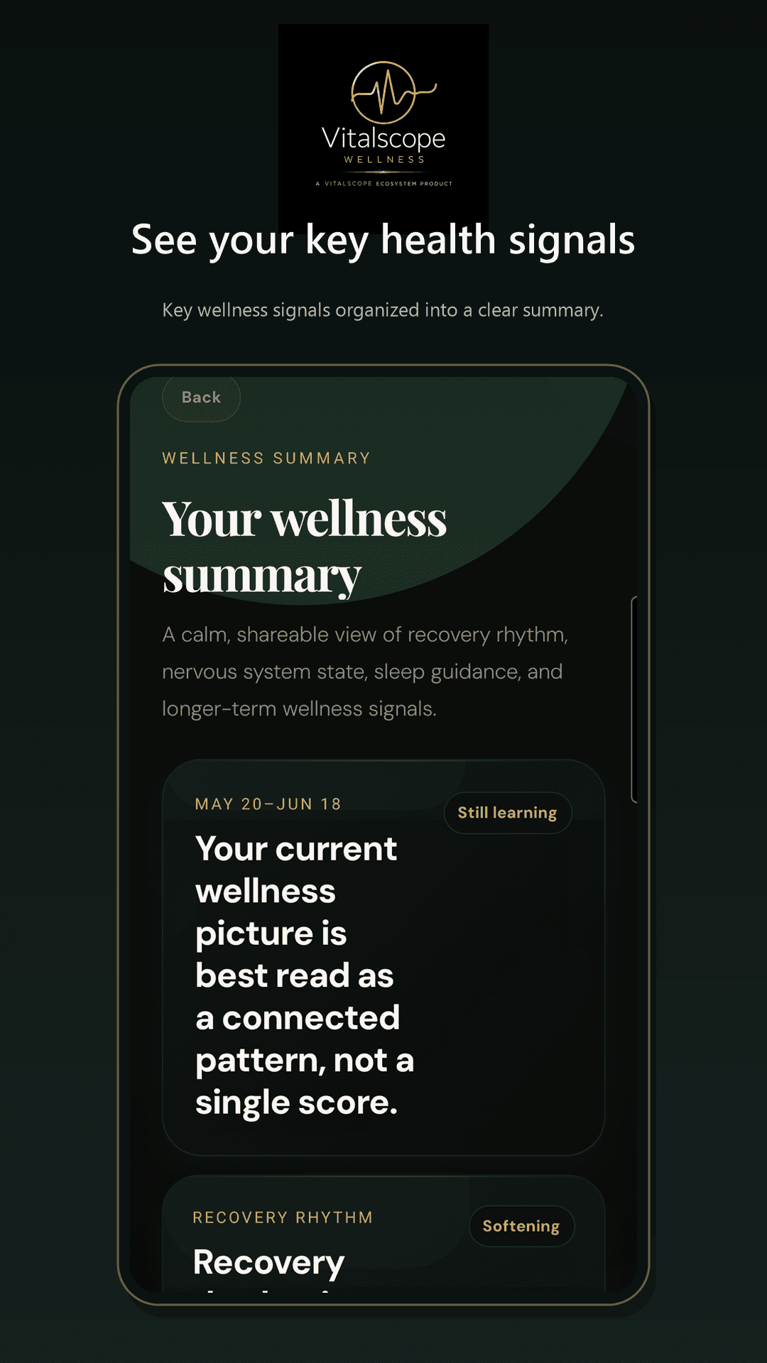 Vitalscope Wellness Signals screen