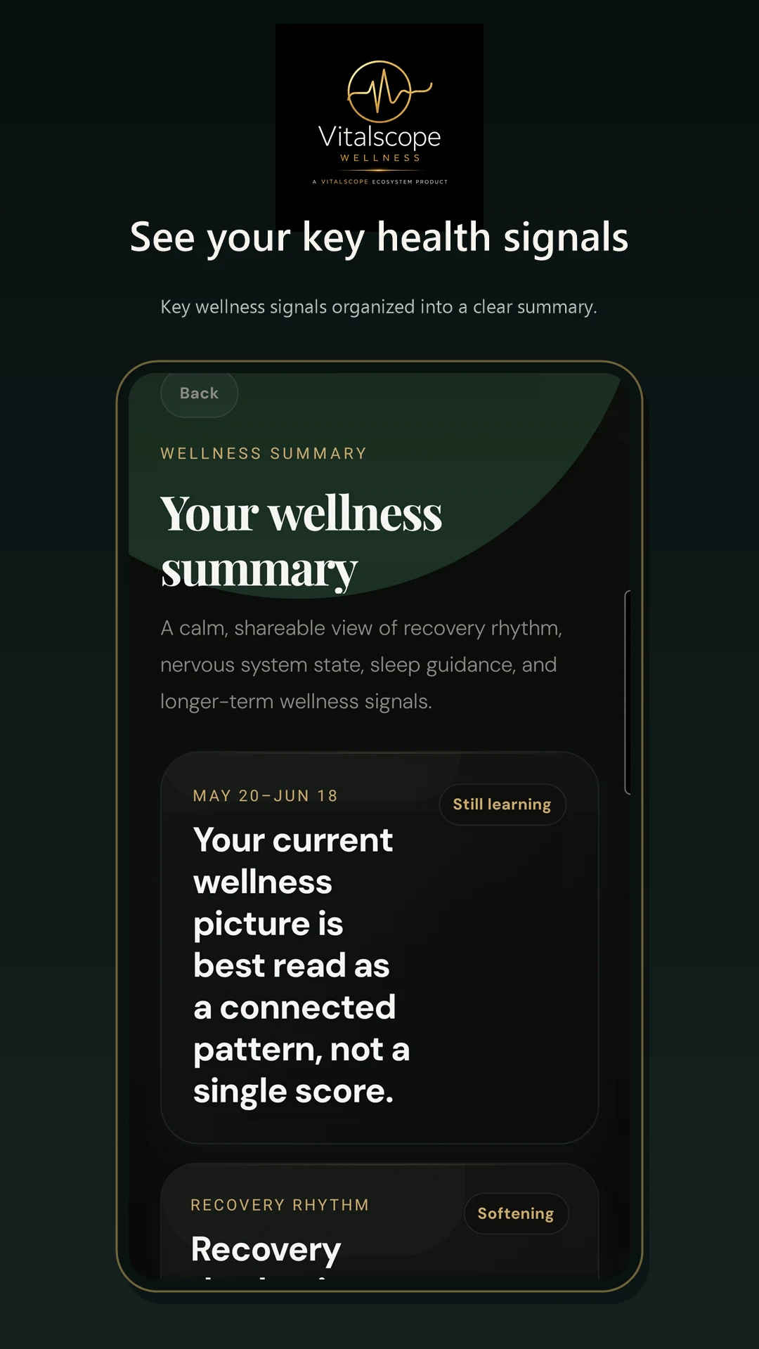 Vitalscope Wellness See patterns over time